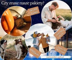 a collage of photos of a family and their dog at Amber Park Spa in Niechorze