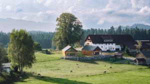 Příroda nedaleko chaty