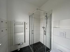 a bathroom with a shower and a toilet at GeBa Bed & Single Rooms in Leipzig