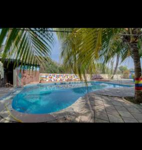 a large swimming pool with a palm tree next to it at Yellow House in Zirad