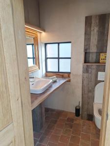 a bathroom with a sink and a toilet at Vakantiehuis 6 personen-rustig en karaktervol in Geraardsbergen
