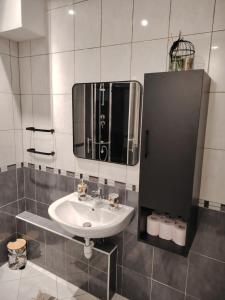 une salle de bain avec un lavabo et un miroir dans l'établissement Charmant appartement, spacieux et tout confort, à Charleville-Mézières