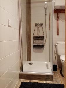 a shower with a glass door in a bathroom at Le paon de bois avec bain nordique in Saint-Mards-en-Othe