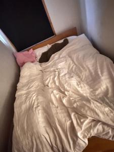 Ένα ή περισσότερα κρεβάτια σε δωμάτιο στο Guesthouse Centrum