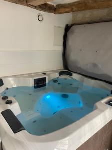 Φωτογραφία από το άλμπουμ του Studette avec SPA privatif à 10 minutes à pied du chateau d'Azay le Rideau σε Cheillé