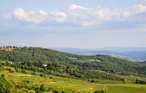 a view of a green valley with trees on a hill at Galletto del Chianti in Panzano