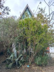 a house behind some trees and bushes at Kio Farm2 in Kiserian