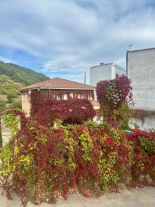ein Blumenstrauß vor einem Gebäude in der Unterkunft Villa del Jerte in El Torno