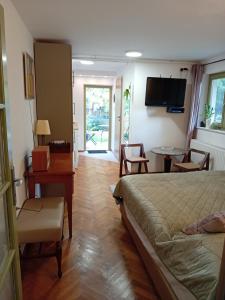 Μια τηλεόραση ή/και κέντρο ψυχαγωγίας στο Bükkös Bird Apartman