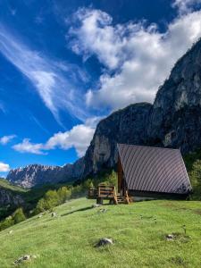 Příroda nedaleko prázdninového domu