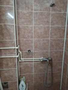 a bathroom with a shower with brown tile at Studio Andrijana Sokobanja in Soko Banja