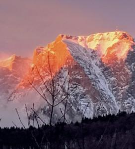 una montaña cubierta de nieve con un árbol delante de ella en Doi Iepuri, en Azuga