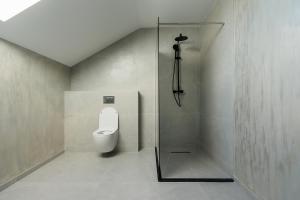 een badkamer met toilet en douche bij Confort House in Horpaz +34 foto's