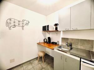 a kitchen with a sink and a counter top at Studio Alsace in Kirchheim
