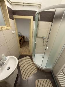 een badkamer met douche, toilet en wastafel bij Centrum Brezno in Brezno