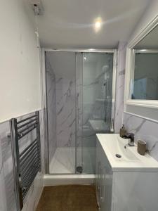 a bathroom with a shower and a sink at Cinema room apartment 2 in Basildon