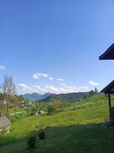 a view of a green hill with a bench on a field at Подих Карпат in Volosyanka