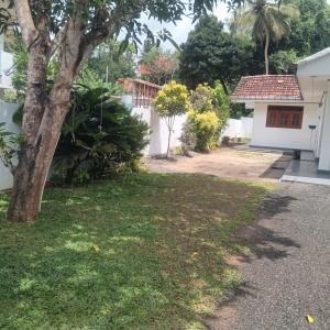 a house with a tree in the yard at Hiri Relax Hostal in Dickwella