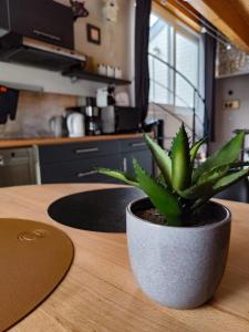 a plant sitting on top of a wooden table at Holiday Home Le Holset in Durbuy
