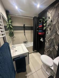 een badkamer met een wastafel, een toilet en een douche bij Le Mas d 'Ecaussinnes in Écaussinnes-dʼEnghien