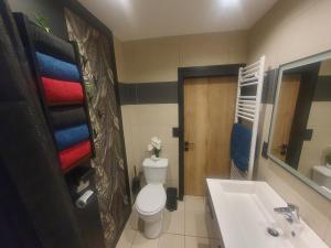 een badkamer met een wit toilet, een wastafel en een wastafel bij Le Mas d 'Ecaussinnes in Écaussinnes-dʼEnghien +6 foto's