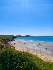 una playa con flores y el océano en el fondo en Craig-Y-Mor Suites With Sea Views Whitesands Bay St Davids, en St. Davids