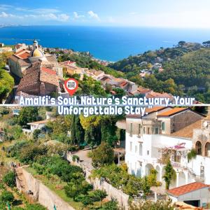 Příroda nedaleko bed and breakfast