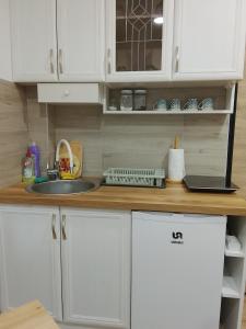 Kuchyň nebo kuchyňský kout v ubytování Apartman Višnja + 6 fotografií