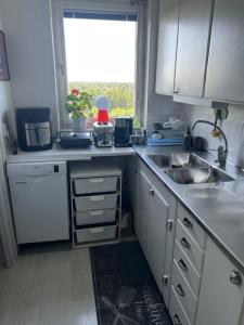 Kuchyň nebo kuchyňský kout v ubytování Bina71