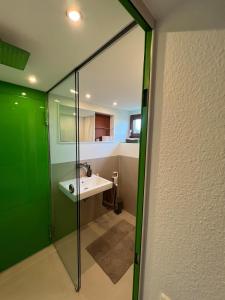 a bathroom with a glass shower and a sink at Appartement am Rüsberg in Witten