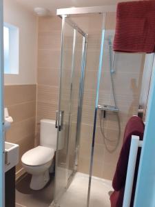 ein Badezimmer mit Toilette und Glasdusche in der Unterkunft ELLIE Appartement duplex in Lanester