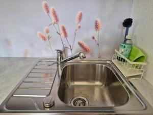 Billede fra billedgalleriet på FeWo im Grünen i Häusern