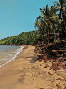 a sandy beach with palm trees and the ocean at Sana Villa & Resort Anjuna Beach Goa in Anjuna