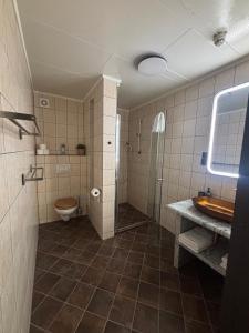 a bathroom with a shower and a toilet and a sink at Martini Fishing Camp in Lauvsnes +9 photos