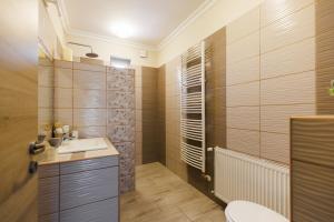 een badkamer met een wastafel, een toilet en een douche bij Csillag Vendégház Mórahalom in Mórahalom +27 foto's