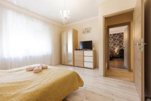 een slaapkamer met een bed en een televisie. bij Csillag Vendégház Mórahalom in Mórahalom