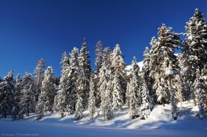 Alpin Chalet Frenademetz v zimě