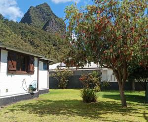 a house with a tree and mountains in the background at La Caz'Anna in Cilaos +22 photos
