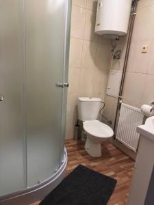 a bathroom with a toilet and a glass shower at Penzion Bilina in Teplice +8 photos