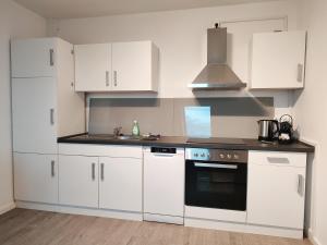 Η κουζίνα ή μικρή κουζίνα στο Bruchsal Business Apartment - Schreibtisch - Smart-TV