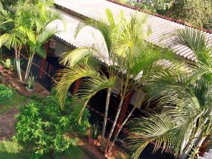 a group of palm trees in front of a house at Green Lake Sigiriya in Sigiriya