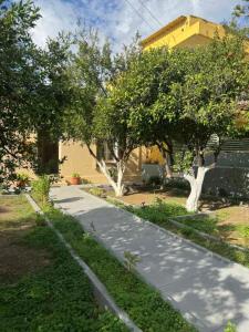 a garden with two trees and a sidewalk at Traditional Villa Stella in Archangelos