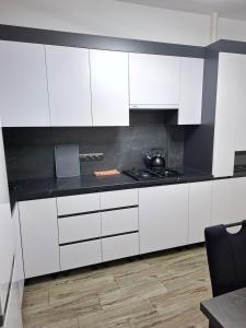 Kuchyň nebo kuchyňský kout v ubytování Транзит Сервис 4 Аэропорт- Кишинёв