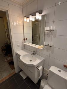 a bathroom with a sink and a toilet and a mirror at Stunning lakeside home with sauna surrounded by nature in Sandared