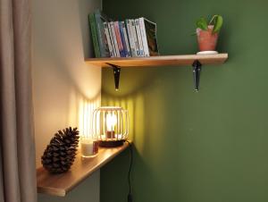 a shelf with a lamp on a green wall at À fleur de source in Mer