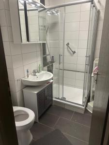 ein Badezimmer mit Dusche, Toilette und Waschbecken in der Unterkunft L&L Ferienwohnung in Schöfweg