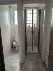 een badkamer met toilet en glazen douche bij Les mirabelliers  +10 foto's