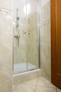 a shower with a glass door in a bathroom at Apartmán IRIS Poděbrady 2 in Nymburk