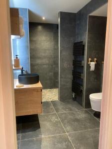 a bathroom with a sink and a toilet at Le Goulet in Prémanon
