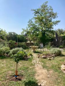 een tuin met een kleine boom in het gras bij CheRiedel Bed & Breakfast & Art Gallery in Azillanet